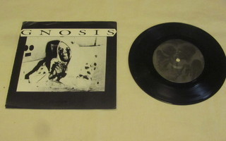Gnosis: Disunion  7"  EP    1994     Punk / Noise