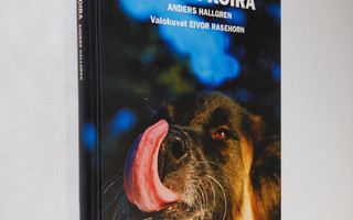 Anders Hallgren : Vanha koira