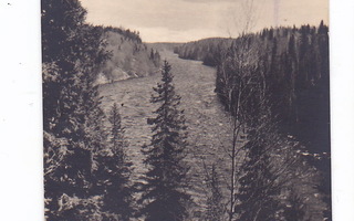 VANHA Postikortti Muhos Oulujoki Leppikallio 1930-l