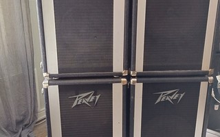 PA-Kaapit Peavey 210 column 16-ohm/112 PTPA Enclosure