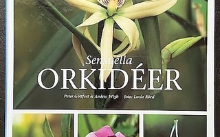 Sensuella orkidéer
