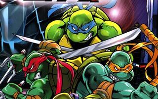 Teenage Mutant Ninja Turtles 2 Battle Nexus Pc