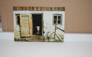 postikortti lehmä oven välissä