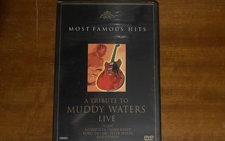A Tribute to Muddy waters Live DVD