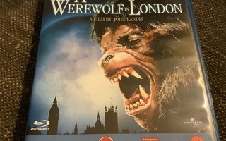 An American Werewolf In London BD