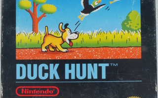 Duck Hunt