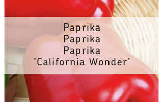 Paprika "California Wonder" - siemenet