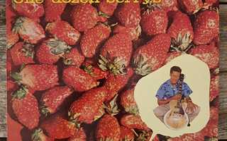 CHUCK BERRY - ONE DOZEN BERRYS LP FINLAND -85