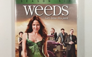 (SL) 3 DVD) Weeds: Kausi 6