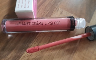 Allen Shaw Lip Gloss Liquid Lipstick / Huulipuna