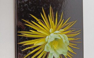 Kodin kukat : Kaktukset