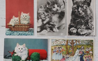 Kissa viisi postikorttia