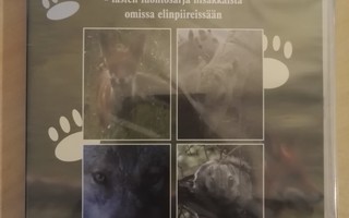DVD) Vikkelät tassut - lasten luontosarja nisäkkäistä ...