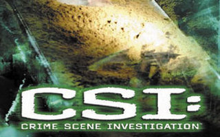CSI :  Grave Danger  -  DVD