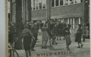 Niilo Kallio : Suomen koululaitos