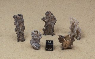 Fulguriitti salamanisku 56.52ct 5x "fossiilisoitunut salama"