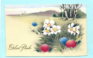 Vanha pääsiäiskortti: Narsissit, munat, -35