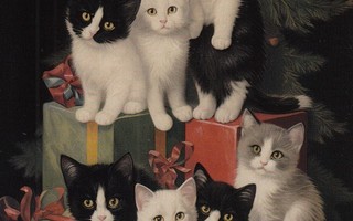 Kissat ja lahjapaketit