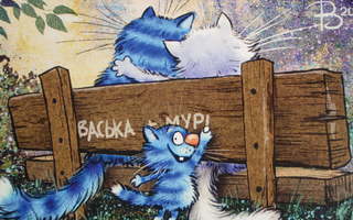 Irina Zeniuk ihastuneet kissat puiston penkillä