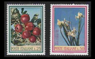 Italia 1247-8 ** Hedelmiä ja kukkia (1967)