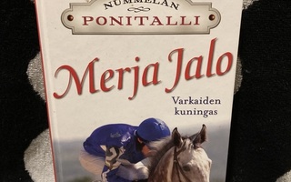 Merja Jalo Varkaiden Kuningas Kirja