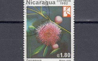 Nicaragua 1982 Karhunvatukka