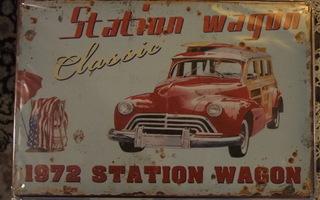 Peltikyltti USA station wagon