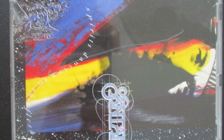 Santana SPIRITS DANCING IN THE FLESH (CD)