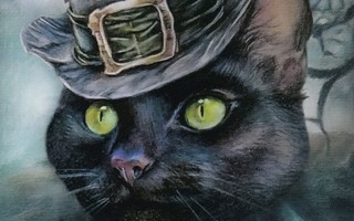 Nikita Potokin: Tyylikäs musta kissa