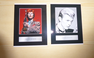 David Bowie valokuvia
