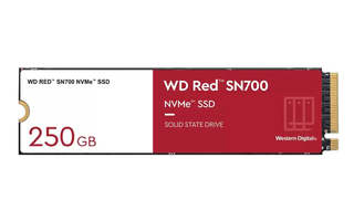 Western Digital WD Red SN700 M.2 250 GB PCI Expr