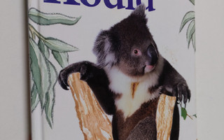Jinny Johnson : Koala