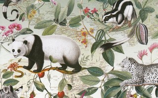 Barbara Behr: Panda ja muut eläimet (neliökortti)
