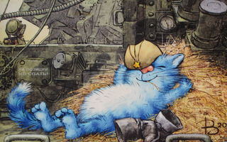 Irina Zeniuk sininen kissa heinäkasassa heinä suussa