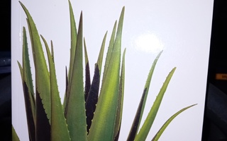 Atherton : Aloe Vera - The Medicine Plant ( SIS POSTIKULU  )