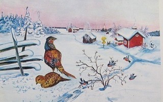 Linnut lumella Postikortti