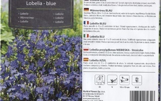 Lobelia "Blue" - siemenet