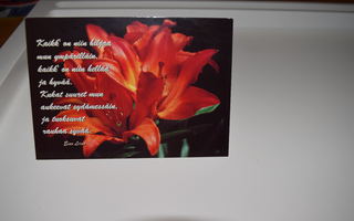 postikortti (A) kukka punainen