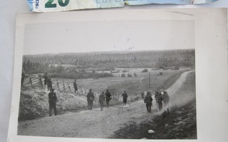 VANHA Sota Valokuva 1941 Kulk. Kenttäposti 1944
