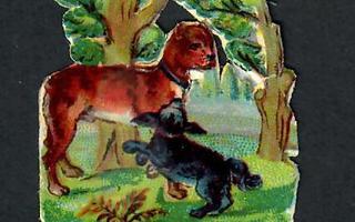 ALE - Wanha - Suloiset pienet koirat 3 - 1900-l alku