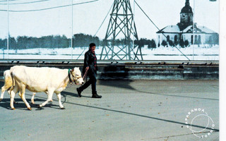 Postikortti - Haparanta Tornio