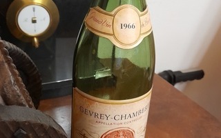 Viinipulloteline ja v.1966 Gevrey-Chambertin pullo