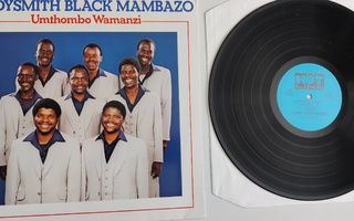 Ladysmith Black Mambazo : Umthombo Wamanzi lp