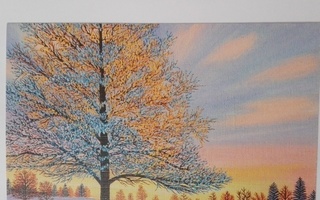 Auringonlasku 2-osainen postikortti