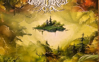 Druadan Forest – The Loremasters Time CD (UUSI)