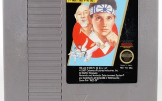 The Karate Kid