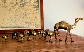 'Kamelikaravaani' (= 8 kamelia, pronssia/messinkiä)