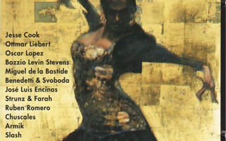 Gypsy Soul New Flamenco (CD) VG+!! Al Di Meola Slash
