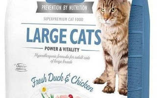 BRIT Care Grain-Free Adult Large Cats - kissan k