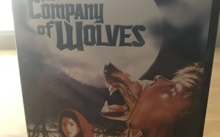 the company of wolves